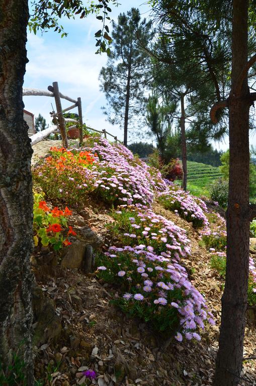 Villa De Paco Sever do Vouga Zewnętrze zdjęcie